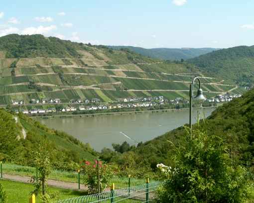 Blick auf den Rhein vom Carport aus