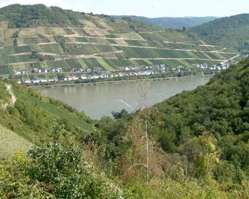Blick auf den Rhein vom Freisitz